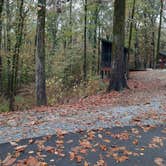 Review photo of Mississippi River State Park Campground by Steve S., November 7, 2022