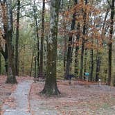 Review photo of Mississippi River State Park Campground by Steve S., November 7, 2022