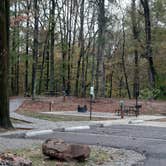 Review photo of Mississippi River State Park Campground by Steve S., November 7, 2022