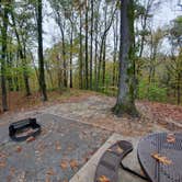 Review photo of Mississippi River State Park Campground by Steve S., November 7, 2022