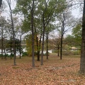 Review photo of Raymond Gary State Park Campground by Alivia R., November 8, 2022