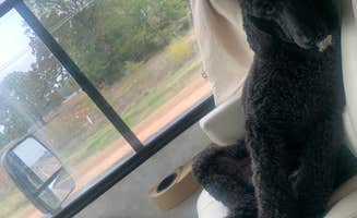 Alivia R.'s photo of camping with pets at Raymond Gary State Park Campground near Sardis Lake