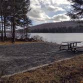 Review photo of Grout Pond Campground — Green Mountain & Finger Lakes National Forests by M.A.D. P., November 9, 2022