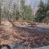 Review photo of Grout Pond Campground — Green Mountain & Finger Lakes National Forests by M.A.D. P., November 9, 2022