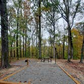 Review photo of Storm Creek Lake Campground by Steve S., November 7, 2022