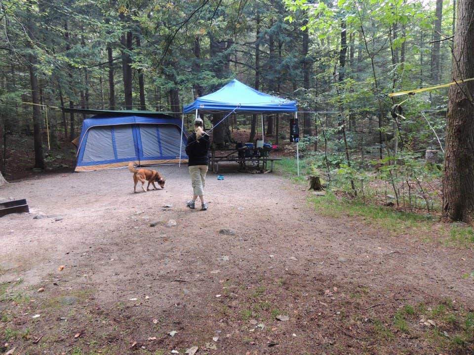 Camper-submitted photo at Hancock Campground in New Hampshire