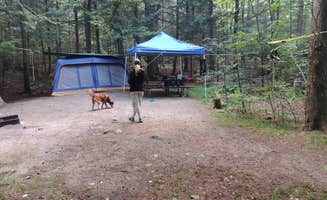Tina D.'s photo of camping with pets at Hancock Campground near White Mountain National Forest