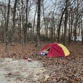Review photo of Mammoth Cave Campground — Mammoth Cave National Park by aliki V., November 9, 2022