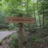 Review photo of Gifford Woods State Park Campground by M.A.D. P., November 9, 2022