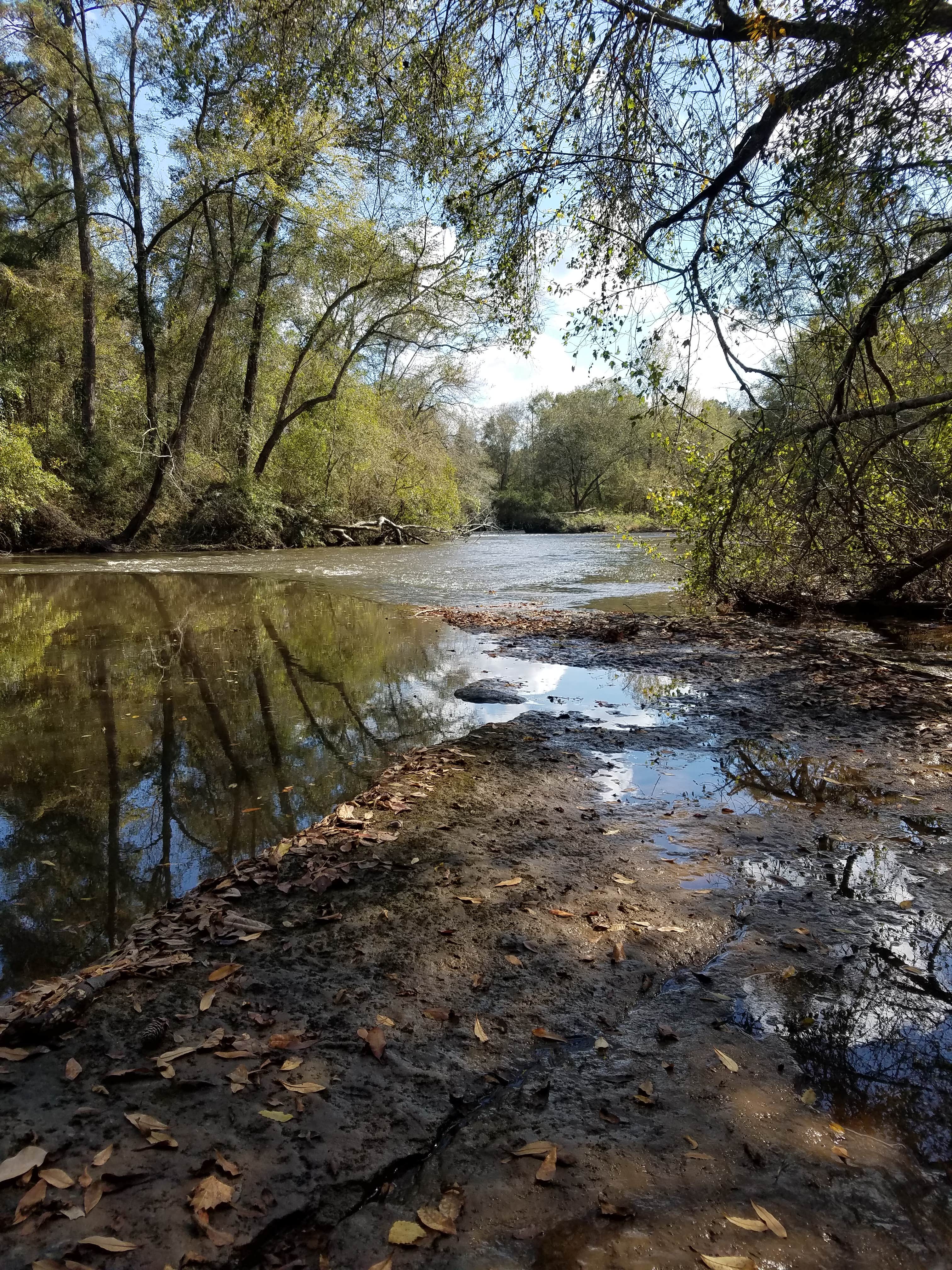 Camper-submitted photo at Four Seasons RV Park near Raleigh, MS