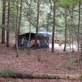 Review photo of Hancock Campground by Tina D., September 16, 2018