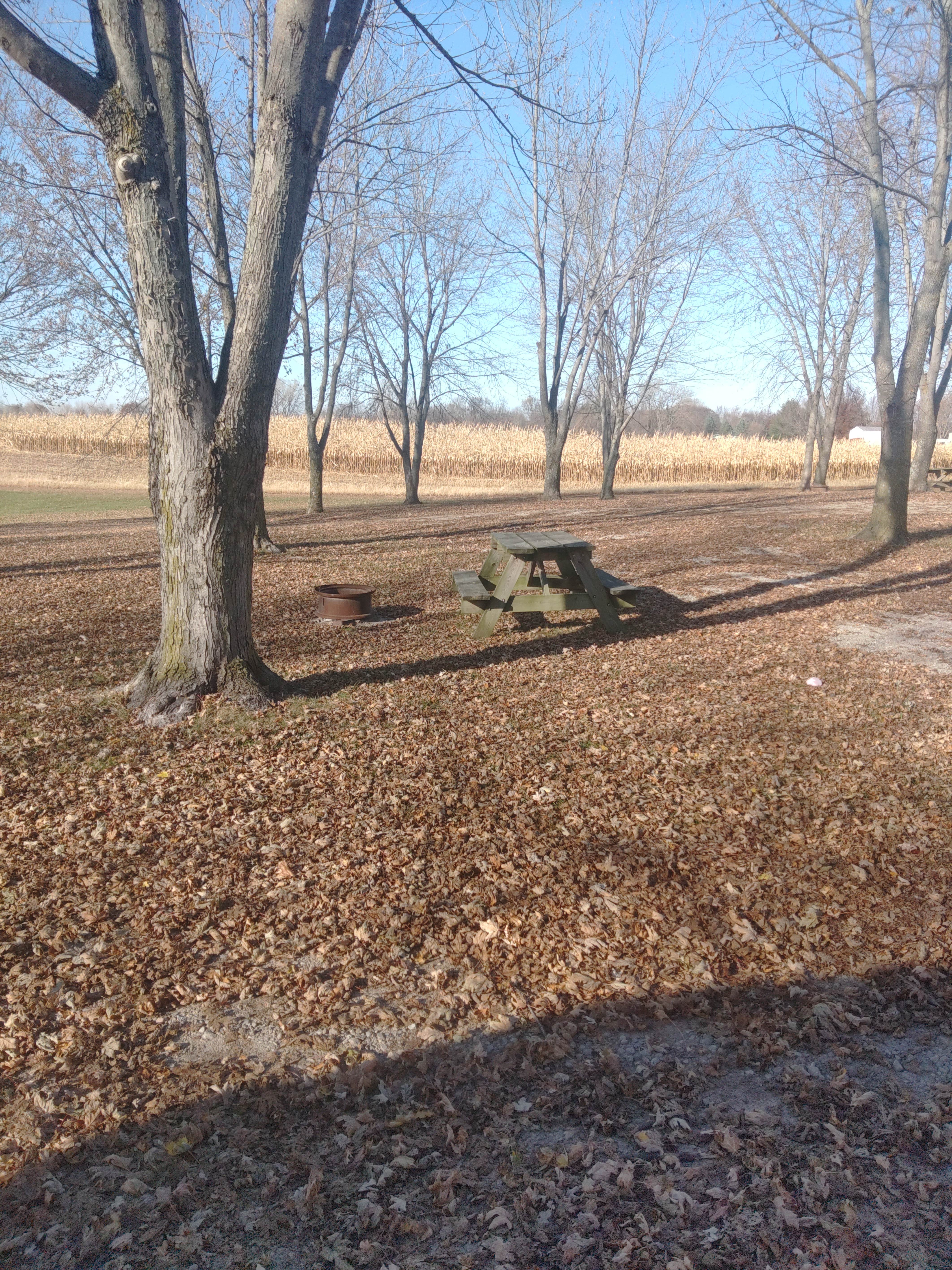 Camping near Virginia Grove Rec Area: Papa's Paradise Campground, Wapello, Iowa