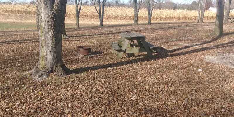 Camper submitted image from Papa's Paradise Campground