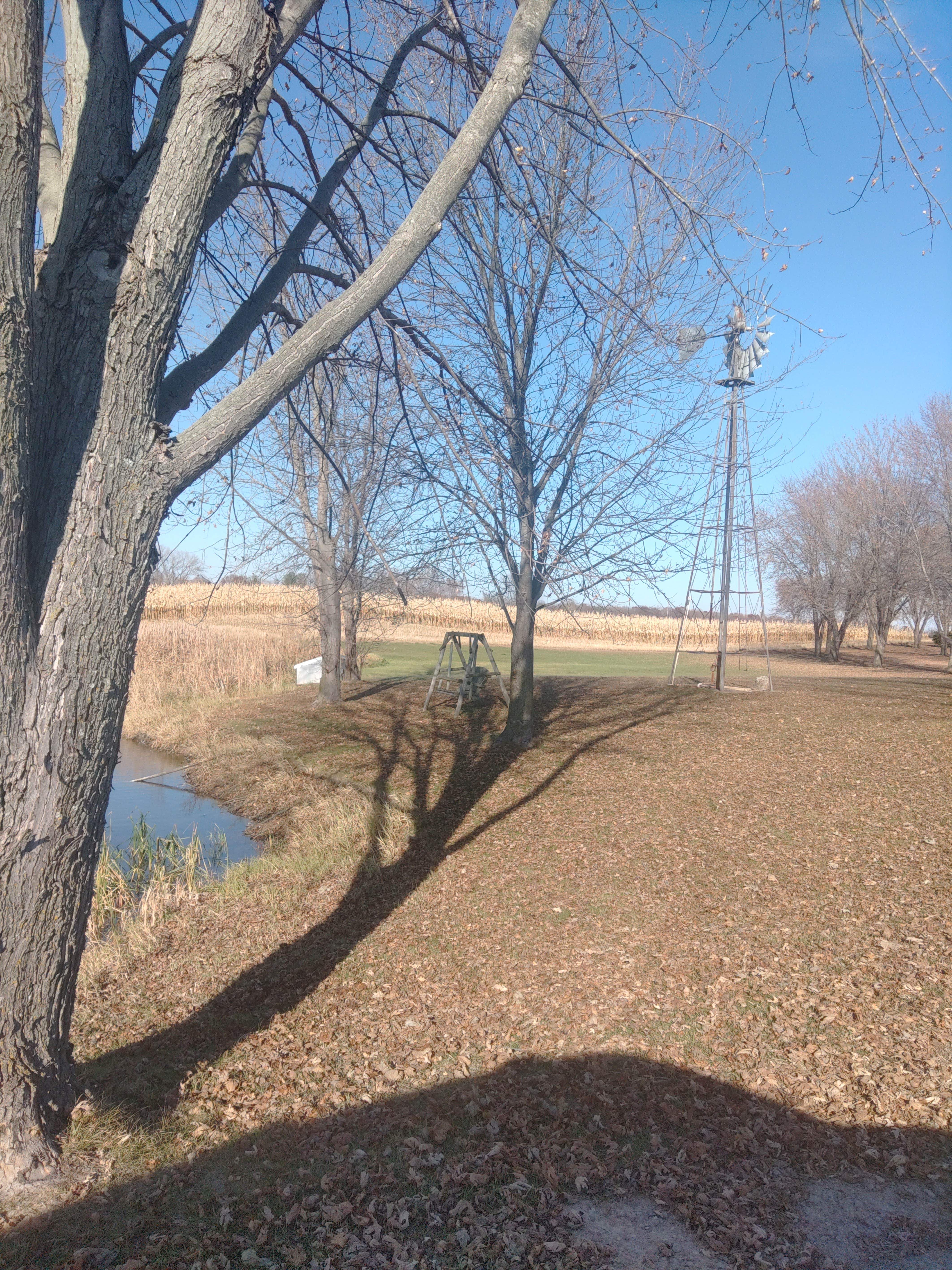 Camper submitted image from Papa's Paradise Campground - 5