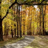 Review photo of Tims Ford State Park Main Campground — Tims Ford State Park by Brooke W., November 9, 2022