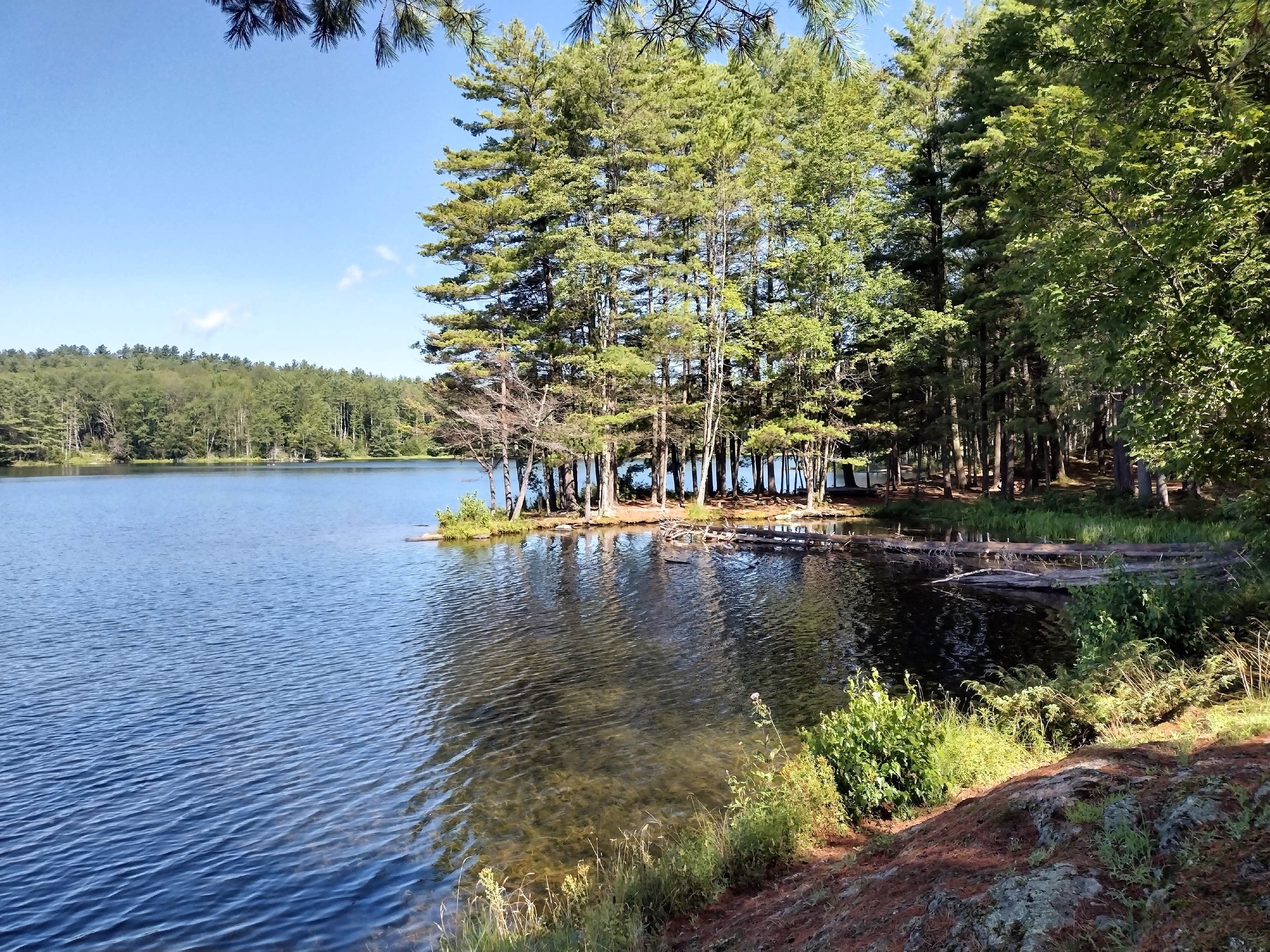 Camper submitted image from Indian Brook Reservoir - 2