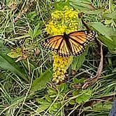 Review photo of Red Creek Campground by Samantha S., September 16, 2018