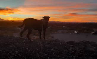 Silas T.'s photo of camping with pets at Snyder Hill BLM Camping Area near Arivaca, AZ