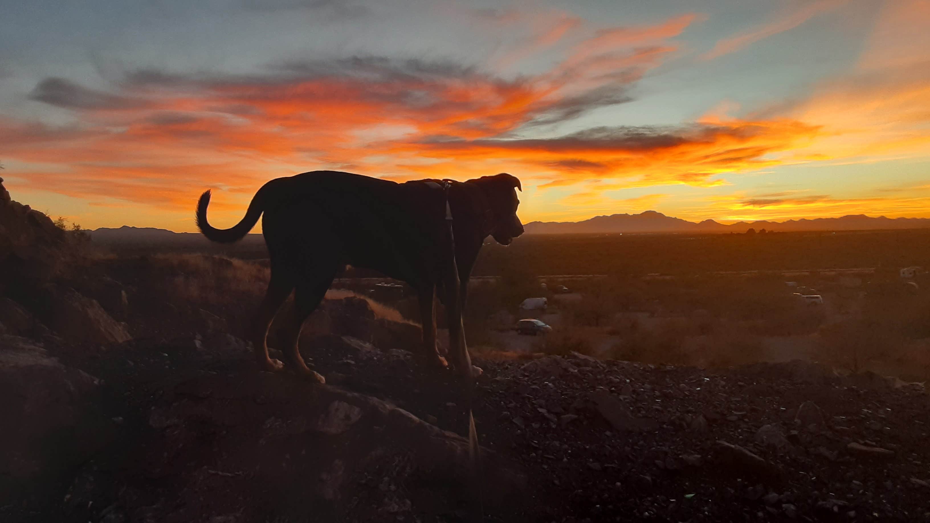 Camper-submitted photo at Snyder Hill BLM Camping Area near Tucson, AZ