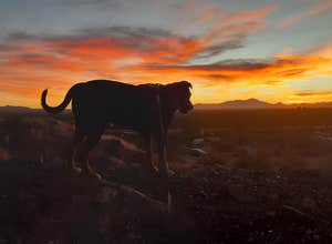 Snyder Hill BLM Camping Area