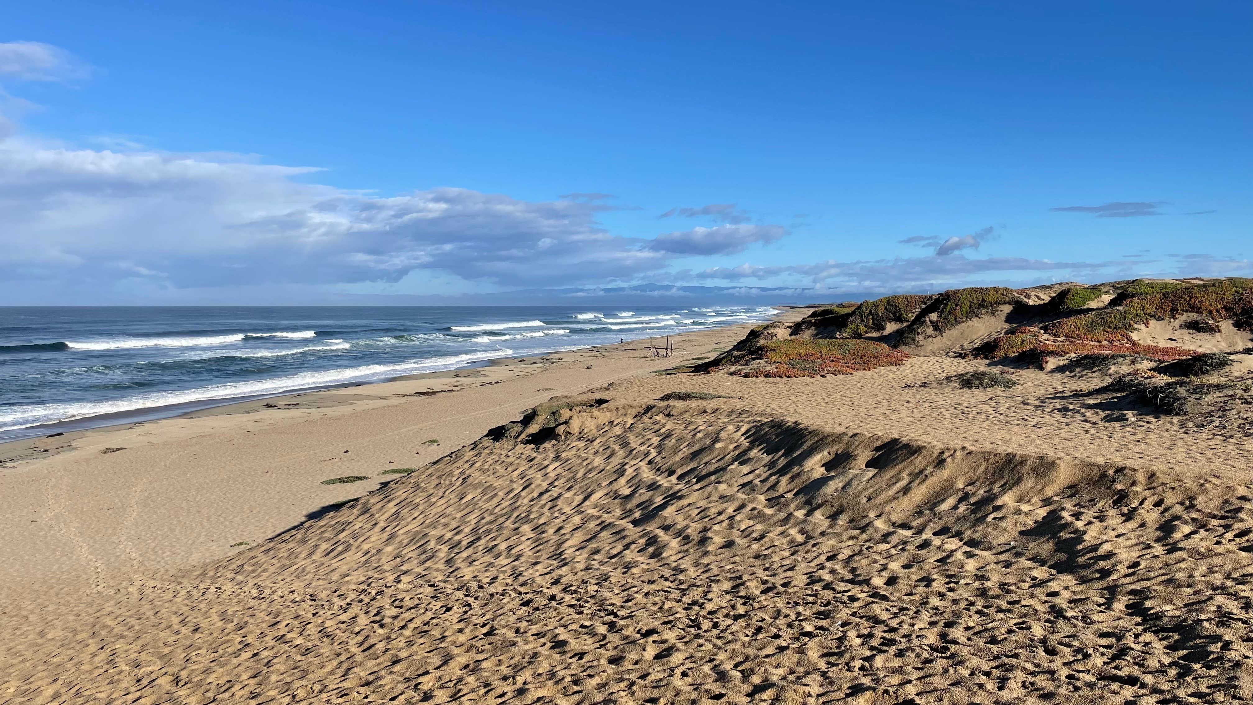 Camper-submitted photo at Marina Dunes RV Park near Moss Landing, CA
