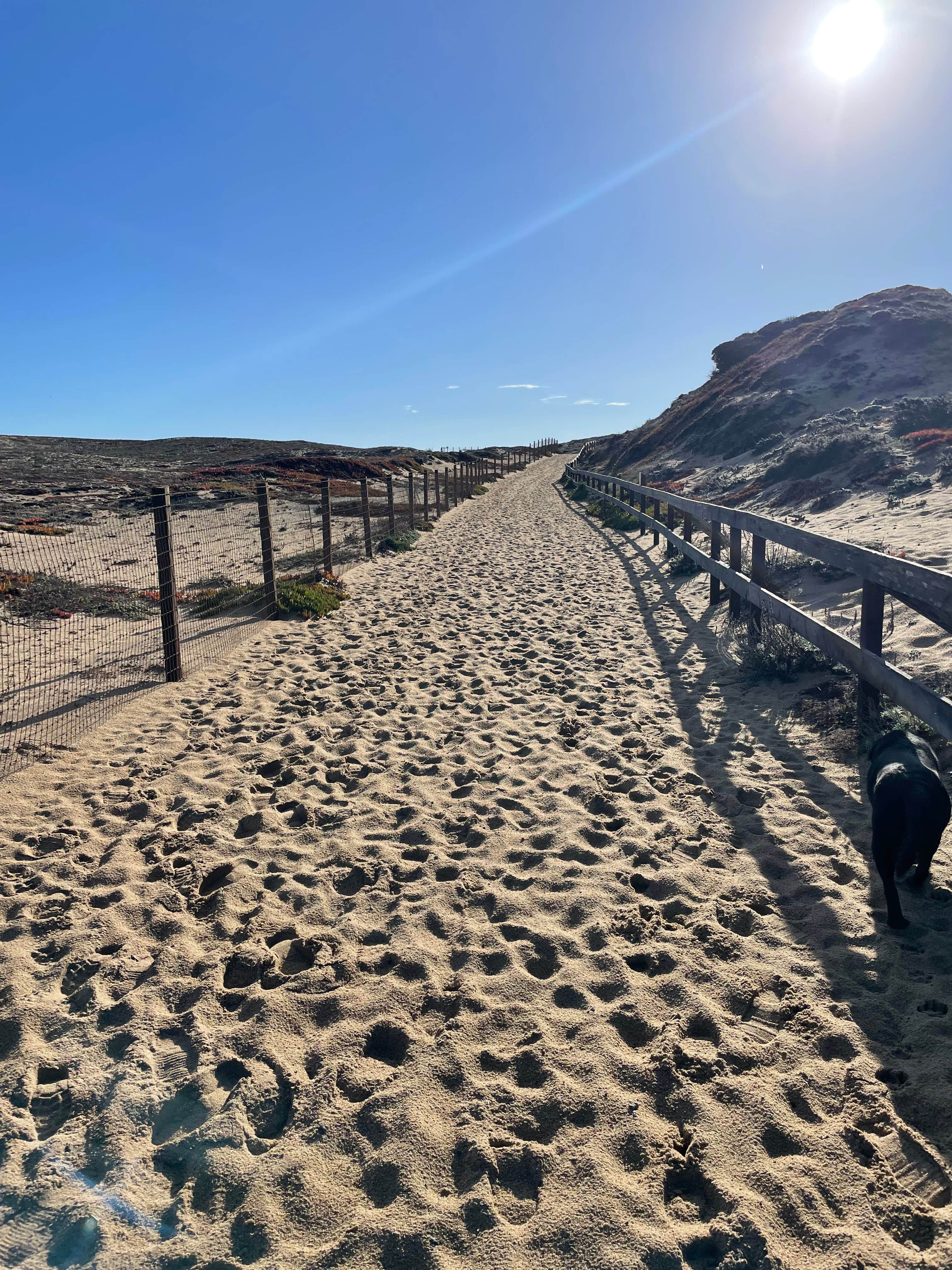 Jim M.'s photo of camping with pets at Marina Dunes RV Park near Carmel Valley Village, CA