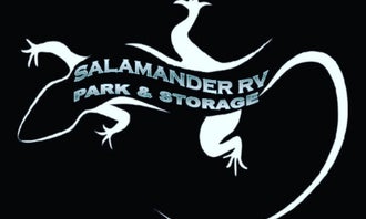 Camping near Taylor Lake Boat-In Campground — Picacho State Recreation Area: Salamander RV Park and Storage, Winterhaven, California