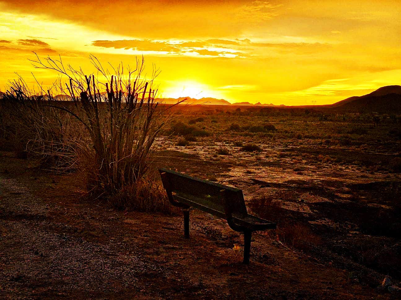 Camper-submitted photo at Salamander RV Park and Storage near Cibola, AZ