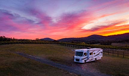 Camper submitted image from Desert Gardens Oasis at Lobo, Texas - 2