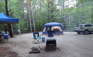 Tina D.'s photo at Passaconaway Campground near Bartlett, NH