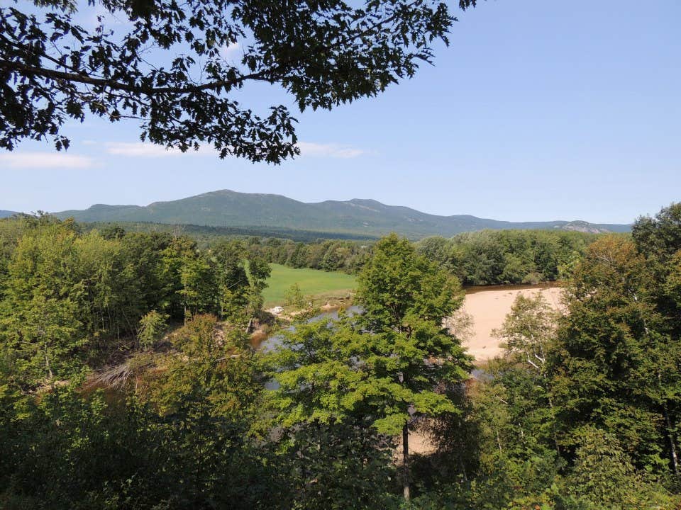 View All