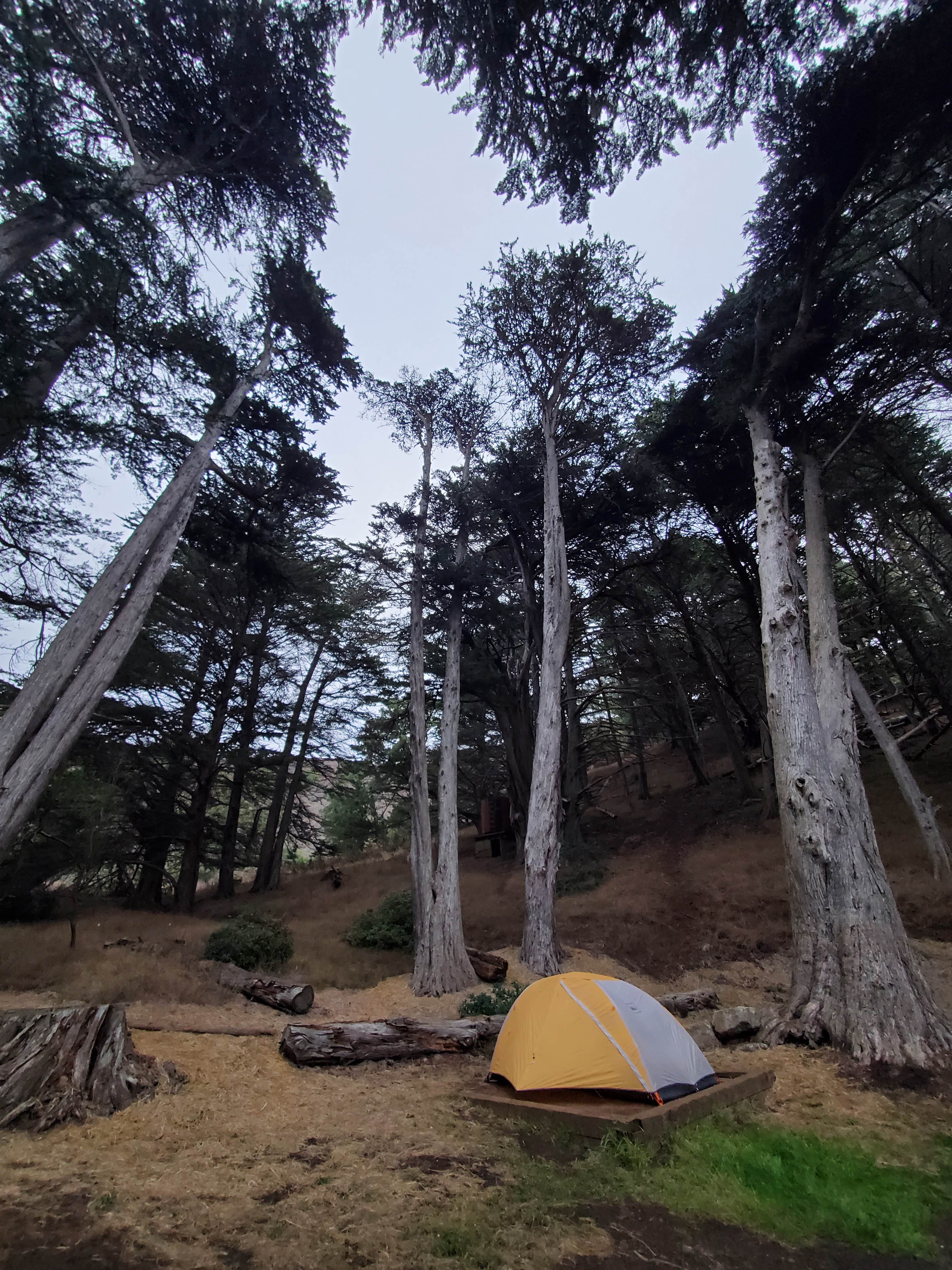 Camper submitted image from Kirby Cove Campground — Golden Gate National Recreation Area - 3