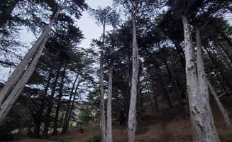 Cecil  K.'s photo at Kirby Cove Campground — Golden Gate National Recreation Area near San Leandro, CA
