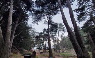 Cecil K.'s photo at Kirby Cove Campground — Golden Gate National Recreation Area near Danville, CA