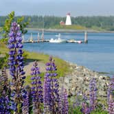 Review photo of Cobscook Bay State Park by Tina D., September 16, 2018