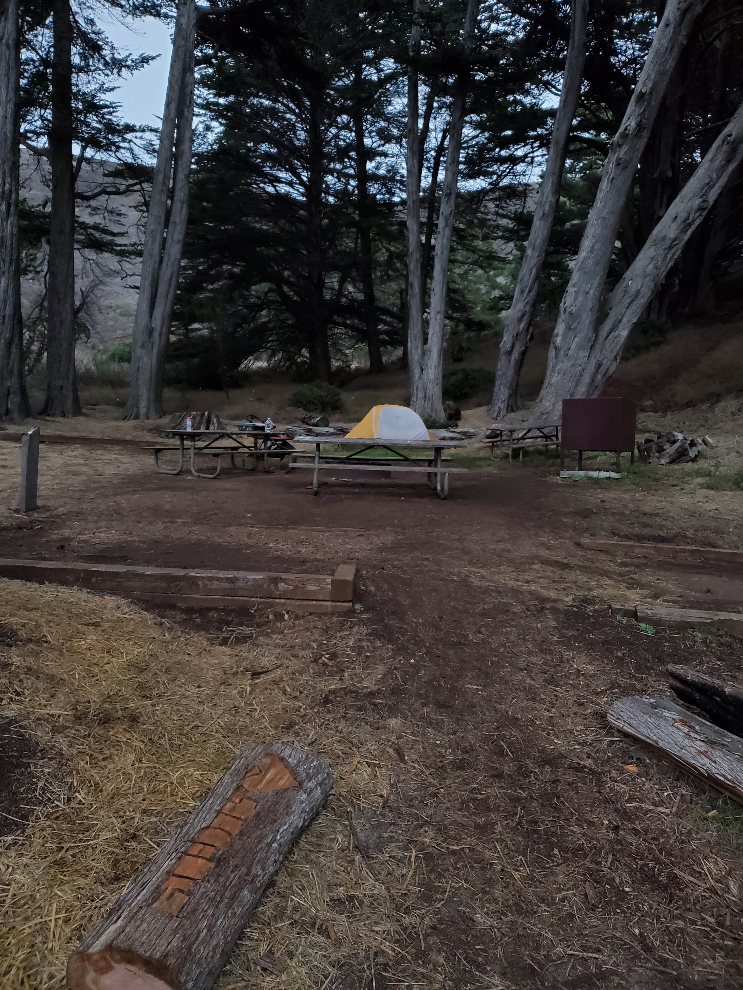 Kirby Cove Campground Camping | The Dyrt