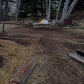 Review photo of Kirby Cove Campground — Golden Gate National Recreation Area by Cecil  K., November 9, 2022