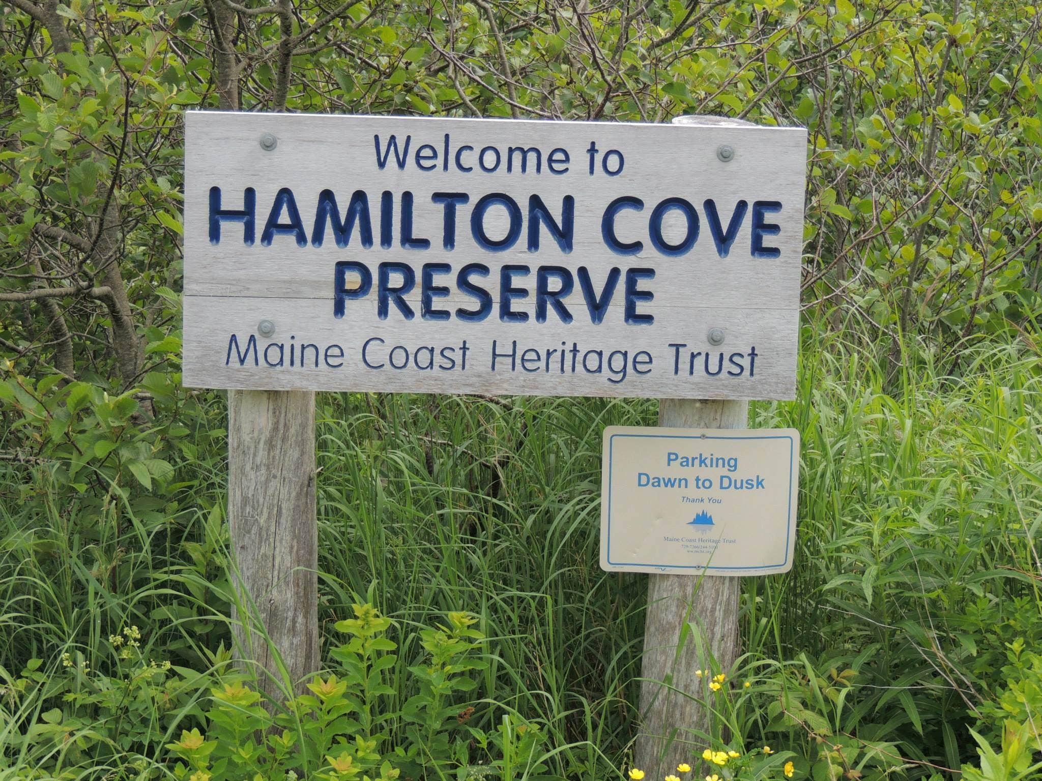 Camper submitted image from Cobscook Bay State Park Campground - 5