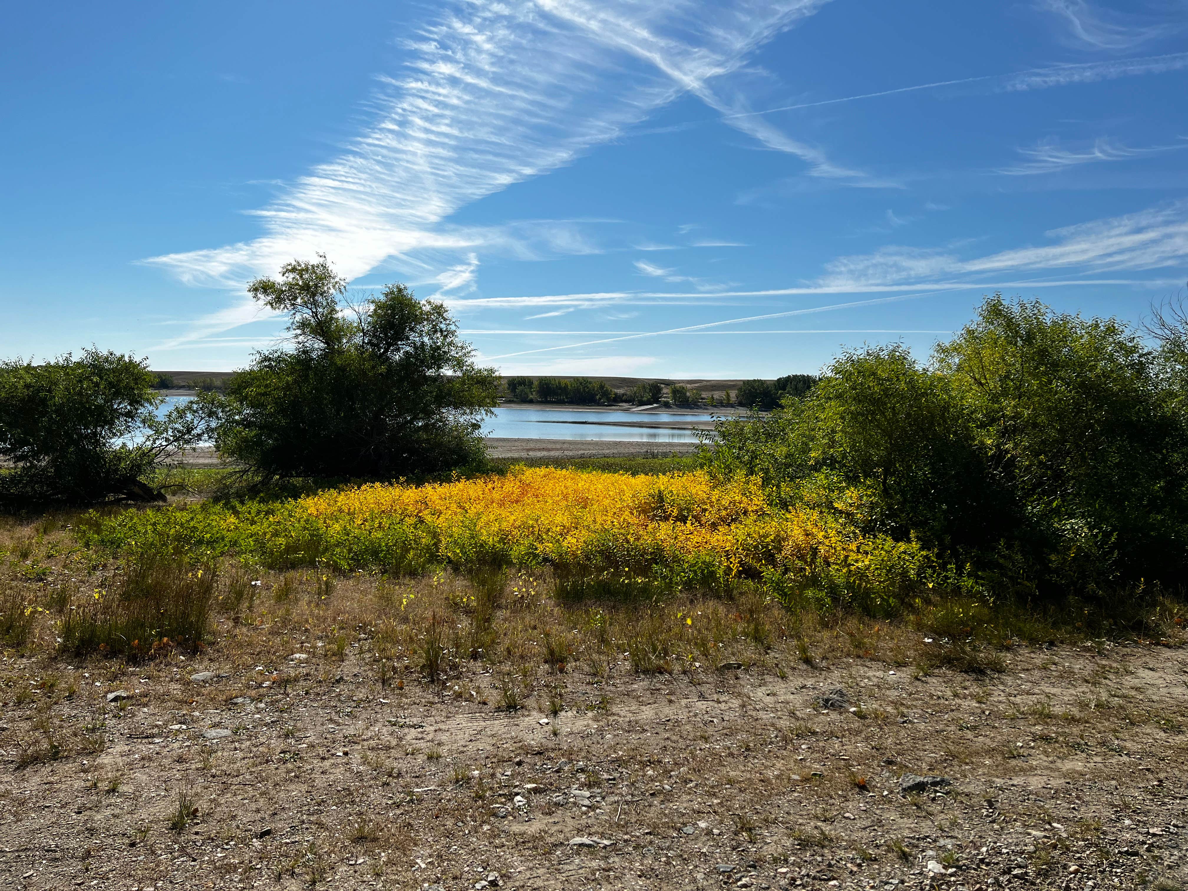 Camper submitted image from Bosque Redondo Park - 4