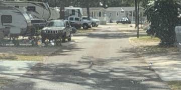 Camper submitted image from Tampa East RV Resort, A Sun RV Resort