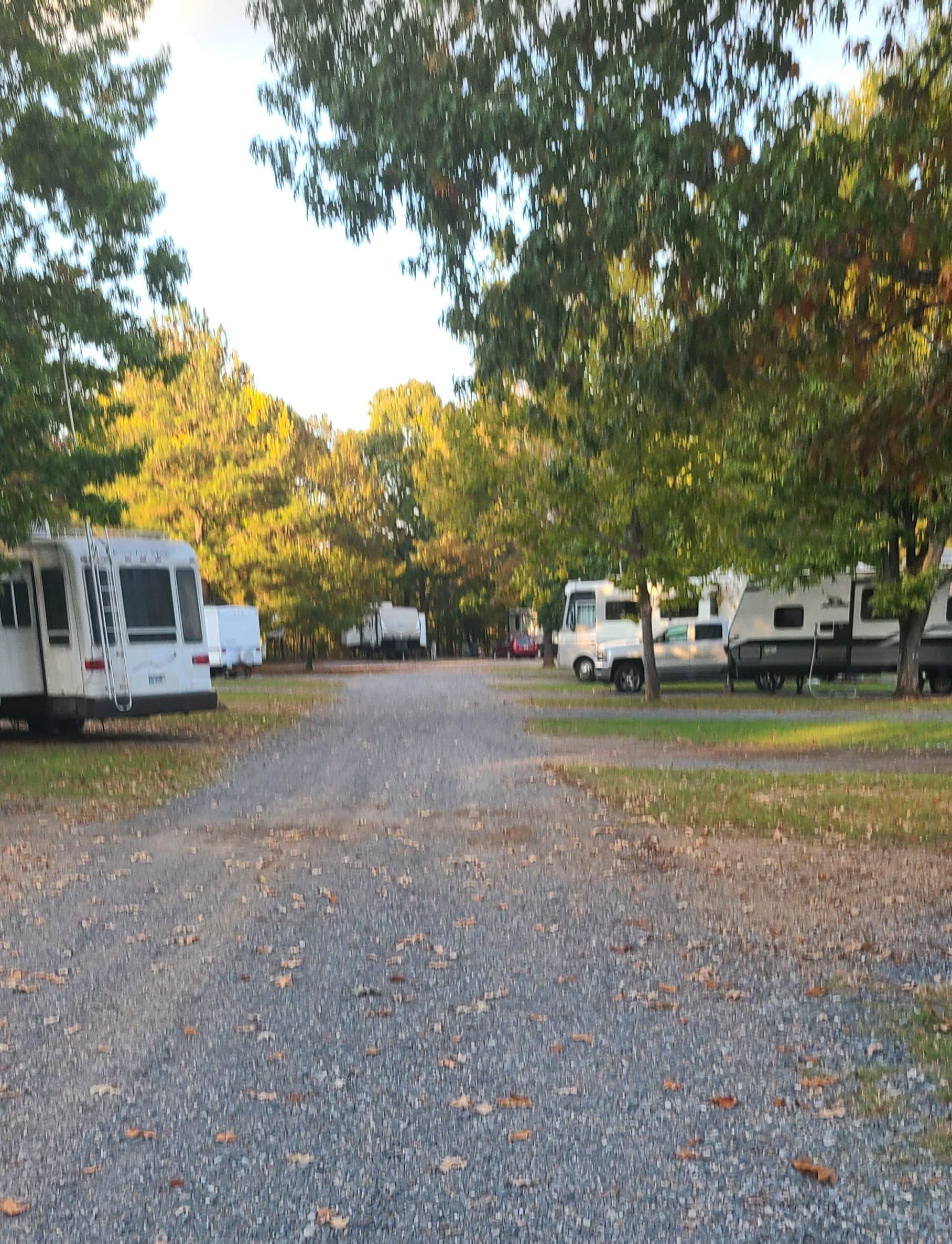 Camper-submitted photo at Nakatosh Campground #1 near Natchitoches, LA