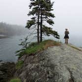 Review photo of Cobscook Bay State Park by Tina D., September 16, 2018