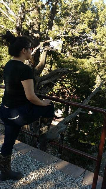 Camper submitted image from Mahogany Grove - 4