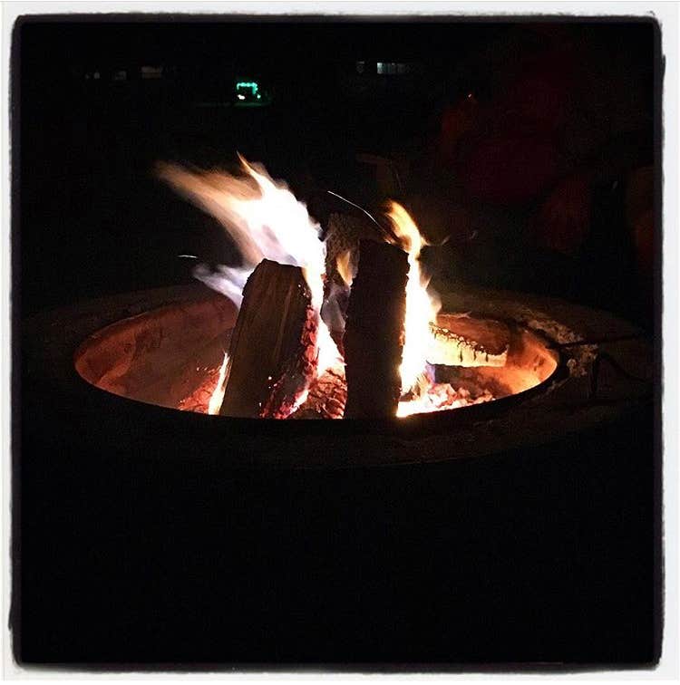 Camper-submitted photo at Algonac State Park Campground near Avoca, MI