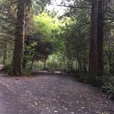 Review photo of Tillamook State Forest Nehalem Falls Campground by Bjorn S., September 16, 2018