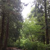 Review photo of Tillamook State Forest Nehalem Falls Campground by Bjorn S., September 16, 2018