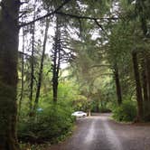 Review photo of Tillamook State Forest Nehalem Falls Campground by Bjorn S., September 16, 2018