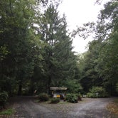 Review photo of Tillamook State Forest Nehalem Falls Campground by Bjorn S., September 16, 2018