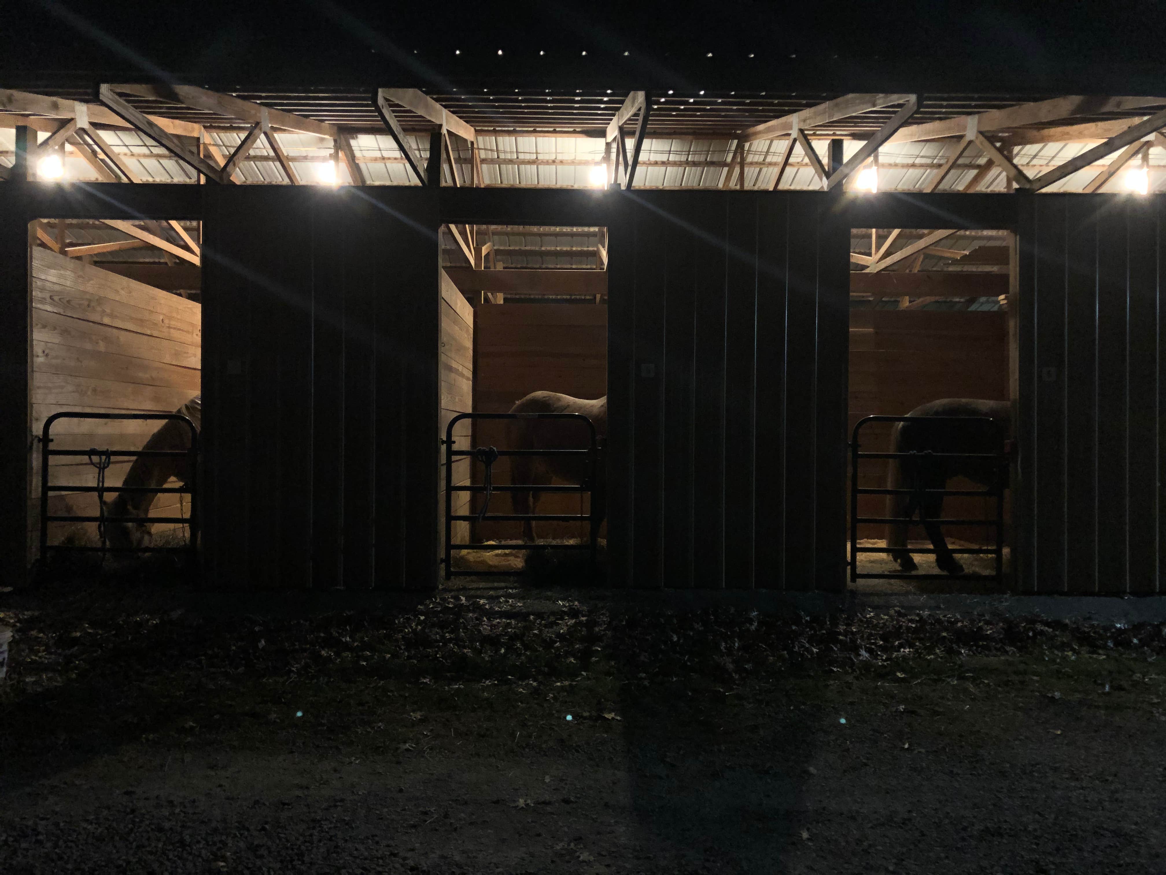Judy  B.'s photo of camping with a horse at A.J. Jolly Park & Campground near Blue Ash, OH