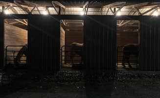 Judy  B.'s photo of camping with a horse at A.J. Jolly Park & Campground near Fairfield, OH